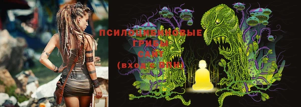 тгк Гусь-Хрустальный