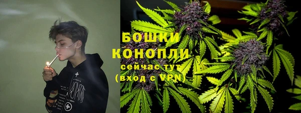 PSILOCYBIN Сатка