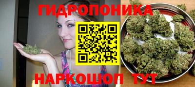 Альфа ПВП Апрелевка