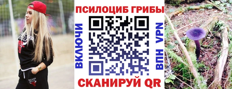 как найти   KRAKEN сайт  Псилоцибиновые грибы ЛСД  Бугуруслан 