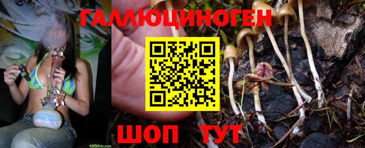 Галлюциногенные грибы MAGIC MUSHROOMS Бугуруслан