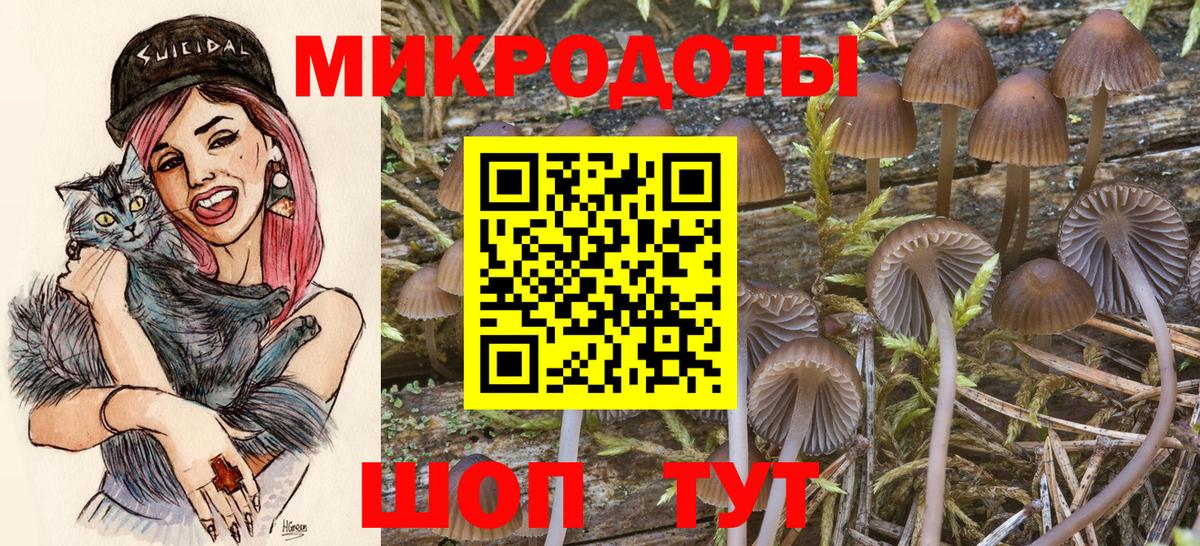 Бугуруслан  Галлюциногенные грибы MAGIC MUSHROOMS  Вход с VPN  Псилоцибиновые грибы мухоморы 