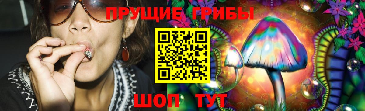 Псилоцибиновые грибы мицелий Бугуруслан